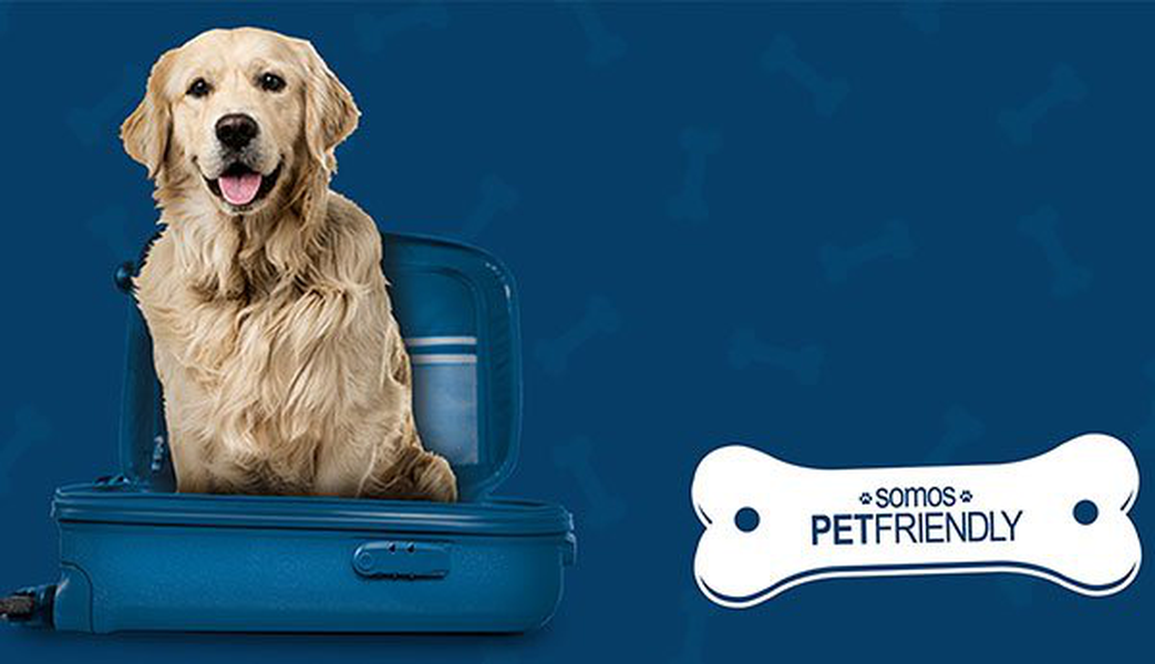 Want to travel with your pet? Hotel ILUNION Atrium Madrid